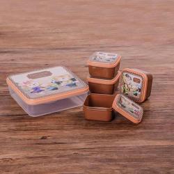 得力熊正方5件套保鲜